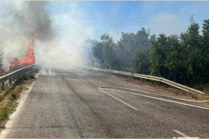 Големият пожар край Бобошево е овладян