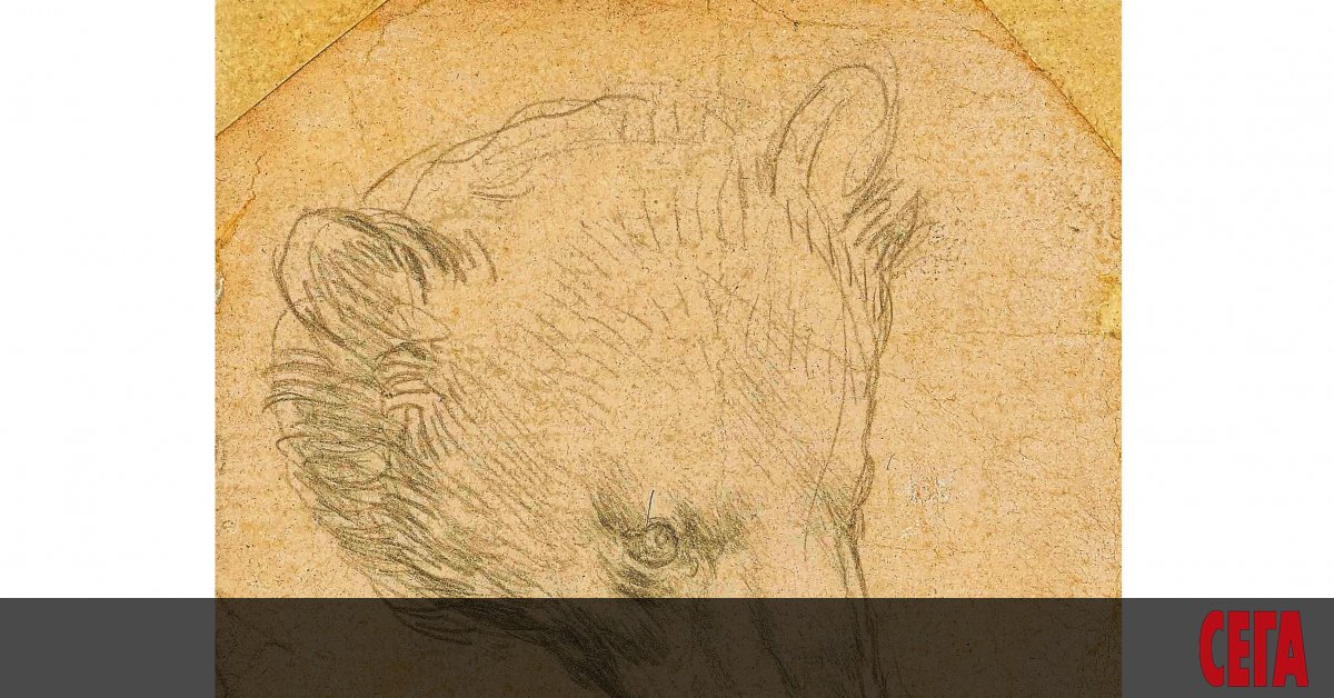 Рисунка на Леонардо до Винчи с размери 7 на 7
