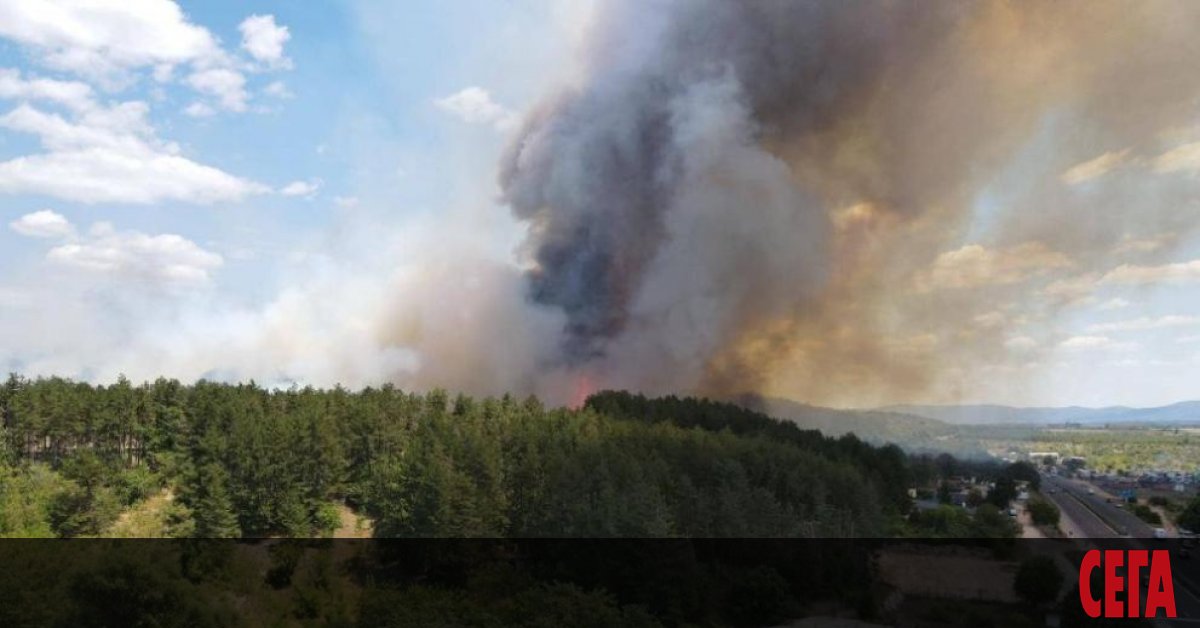 Голям пожар пламна край вилното селище Старите лозя в Казанлък във