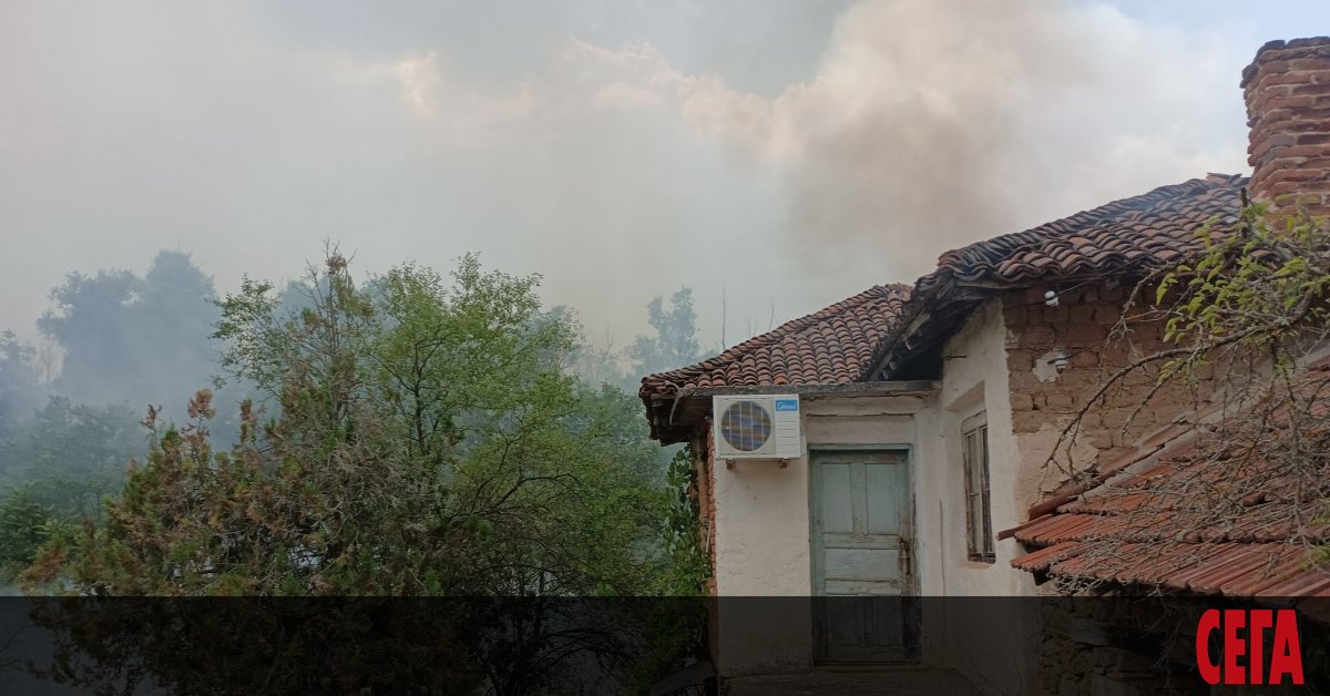Пожарищата в България насред горещото и сухо време продължават с