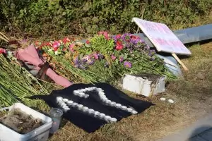 "Бул инс" смята, че загиналите в Своге са пътували на автостоп