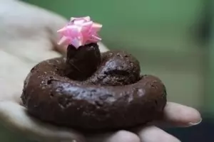 Януарски фейкнюз бюлетин