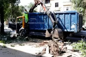 Силна буря повали дървета и затвори булеварди в Кърджали