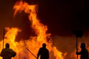 Амазонските гори горят с рекордна скорост