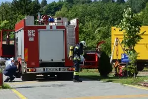 Пожар гори при границата със Сърбия край Трекляно