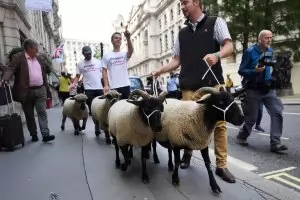 Лондон има план да посрещне
хаоса от Брекзит без сделка