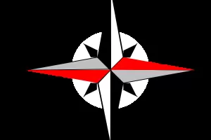 Негрите работят, а шпионите - на зигзаг!