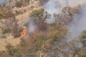 Над 120 души продължават да се борят с пожара над Чипровци