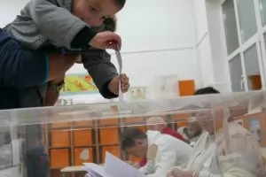 Варна и Пловдив избраха кметове с най-малка представителност