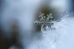 Не се задават сериозни снеговалежи до средата на януари