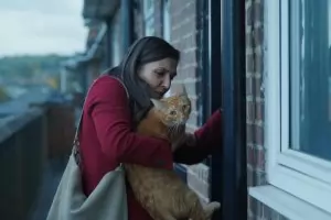 "Котка в стената" отива на Европейските филмови награди
