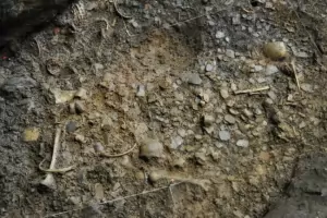 Масово убийство на мигранти в Испания разкриха археолози