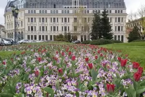 В ББР имало 8 особено проблемни големи кредита