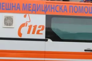 Мъж загина при нападение от животни на Витоша