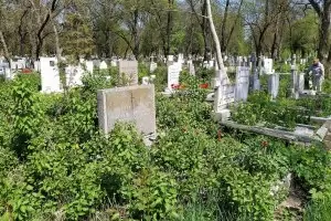 Любима фирма на ГЕРБ в София получи пореден договор без конкурс