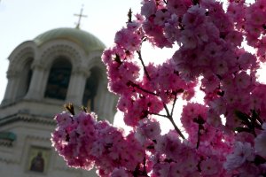 Цветница е голям празник за православните християни На 17