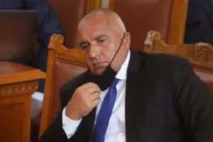 Калинките на Вожда