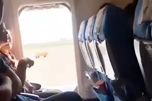 Кои са най-замърсените места в самолета