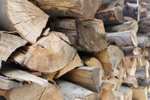 Държавните горски и ловни стопанства ще продават директно дърва за