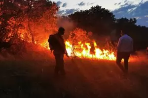 Хасково и околните общини бедстват заради пожари