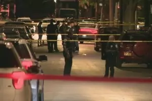 Двама убити и 14 ранени при стрелба на дворно парти в щата Ню Йорк