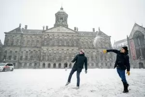 Бурята "Дарси" спря COVID-тестовете в Нидерландия 
