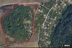 Общинари призовават Фандъкова да спаси 85 дка гора до Западен парк