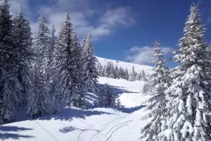 В Пирин бе обявена трета степен за опасност от лавини