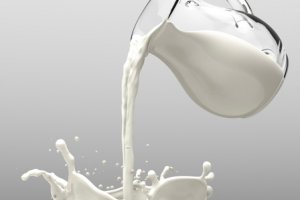 Масово в прясното мляко производителите влагат сухо мляко Това са