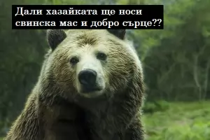 Борисов се снима с мечката, купи ѝ бърлога в Барселона
