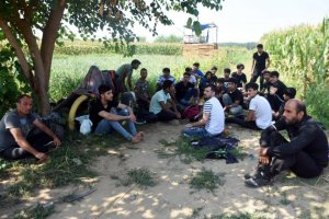 Групи от  афганистански мигранти в Турция са поели към Одрин