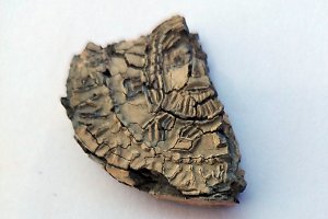 Археолози откриха част от оловен печат на княз Борис Михаил при разкопки