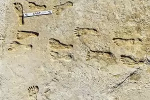 Откриха най-ранните човешки следи в Америка