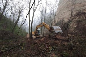 Изкопни дейности в нарушение и унищожаване на дървета в природната