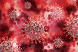 Вирусът на настоящата пандемия SARS CoV 2 губи 90 от способността си да