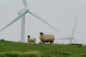 Германия отделя 2% от територията си за вятърни електроцентрали