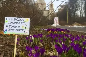 Доцент в Москва направи ботанически протест