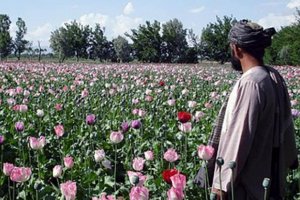 Върховният лидер на талибаните разпореди забрана за отглеждането на мак