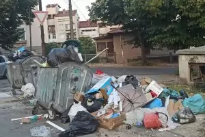 Боклукчиите заминаха на гурбет и Кърджали затъна в смет