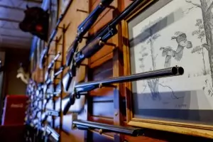 Щатът Ню Йорк забрани 18-годишни да притежават огнестрелно оръжие