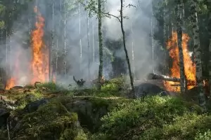 Армията се включи в гасенето на пожара край Лесичово