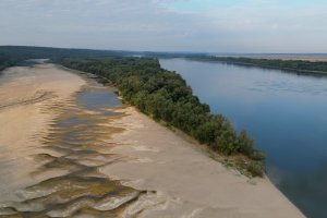 Все повече участъци по Дунав пресъхват критично и оголват бреговете  Нивото