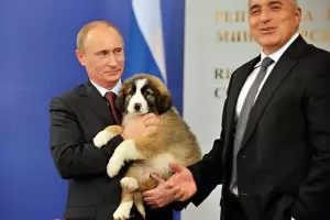 Отровни двойници растат на евроатлантическа почва у нас