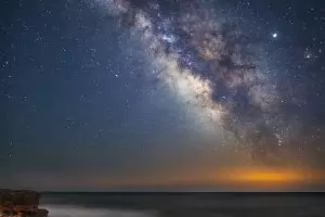 Чуват ли растенията...