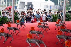 Пред гостите и участниците в танцуваха 100 кучета роботи съобщи агенция
