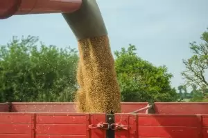 Износът на зърно от Украйна падна с над 50%