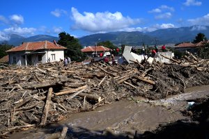 Свлечената дървесина в наводнените села в Карловско не била изсечена