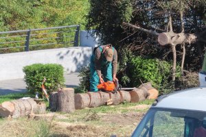 Пловдивчани продължават да водят сърцата битка срещу проекта на ГЕРБ