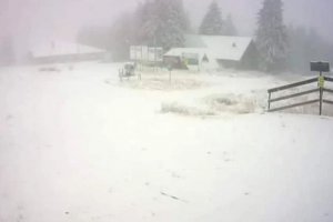 Първият за сезона сняг падна в Пампорово съобщи Планинската спасителна