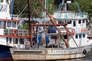 Румъния арестува три български кораба заради улов на акули